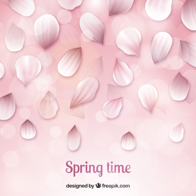 Cherry blossom petals background