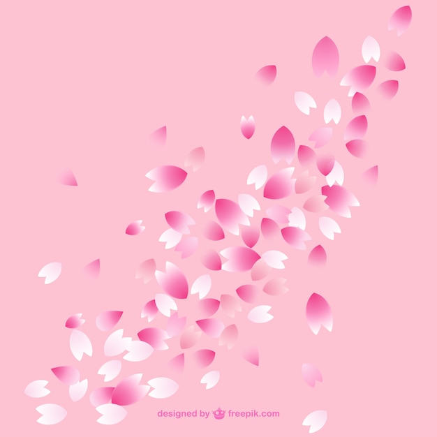 Cherry blossom petals