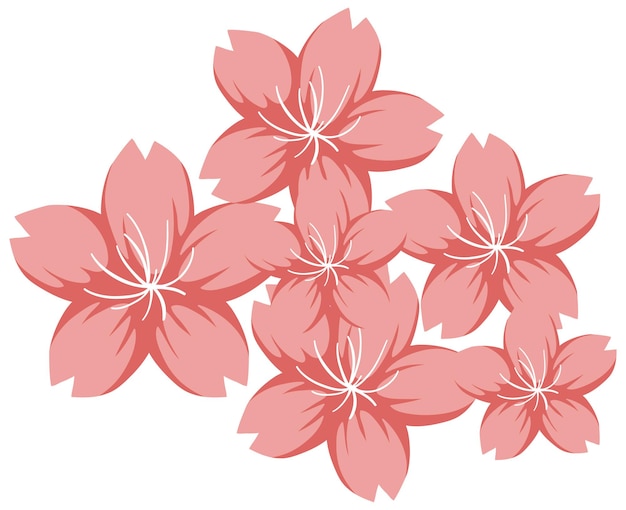 Free vector cherry blossom or sakura in cartoon style isolated