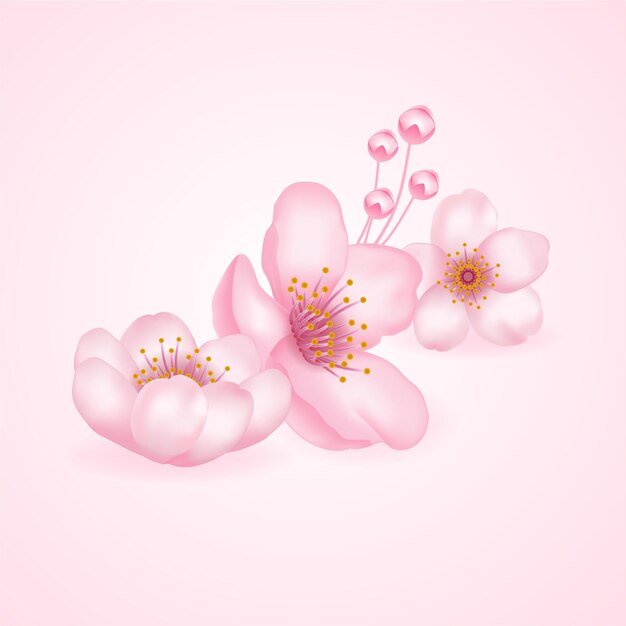 グラデーションの美しい桜の花の背景 プレミアムベクター