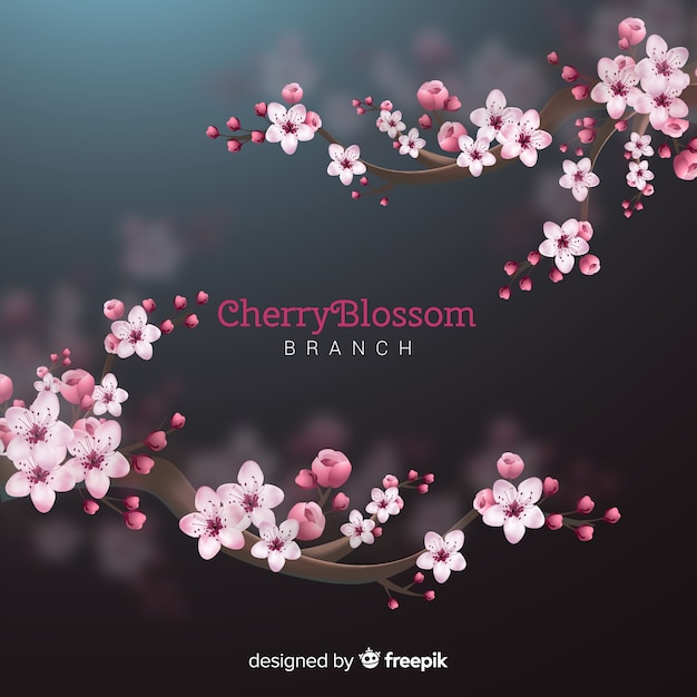 Cherry blossom tree background