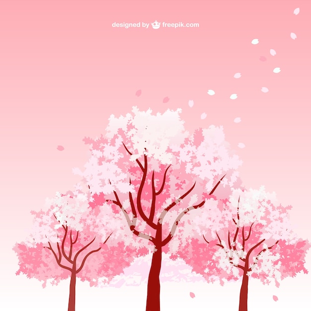 Cherry blossom trees