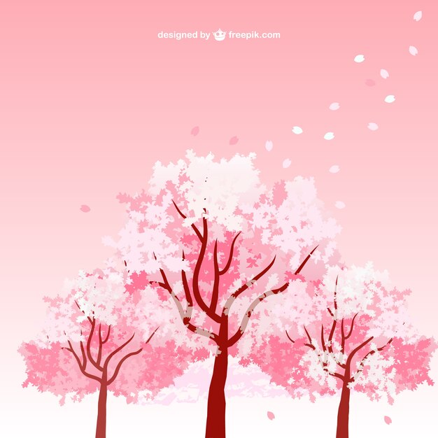 Cherry blossom trees 