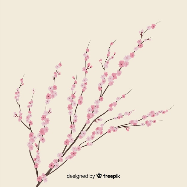 Free vector cherry blossom