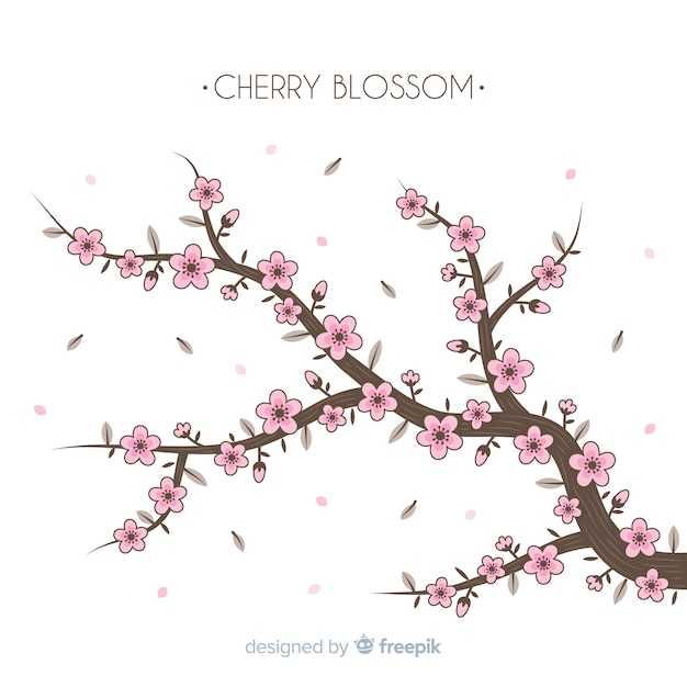 Cherry blossom