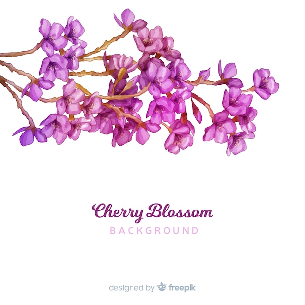 Free vector cherry blossom