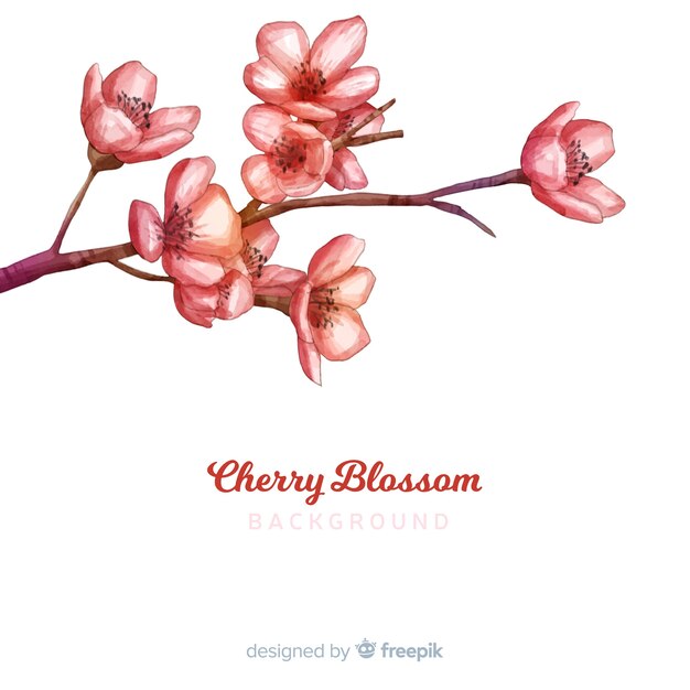 Free vector cherry blossom