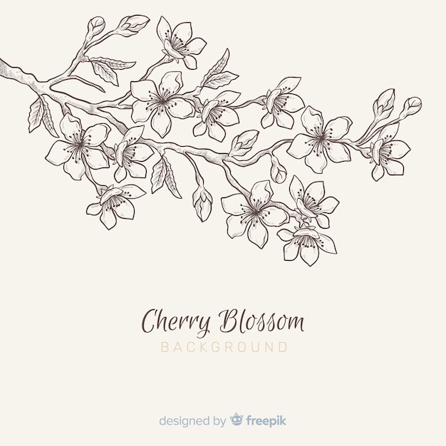 Cherry blossom