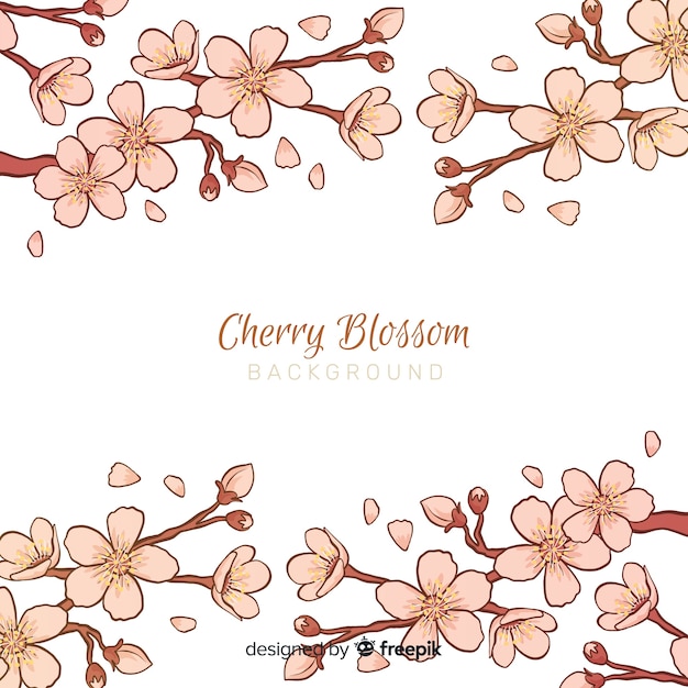 Cherry blossom