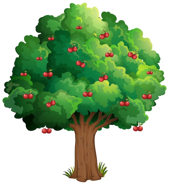 Бесплатное векторное изображение Вишневое дерево, изолированные на белом фоне