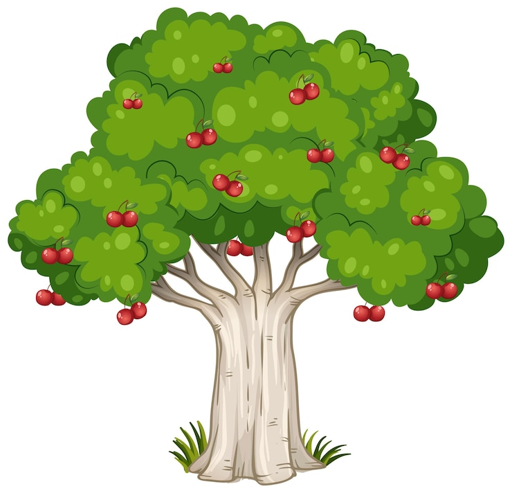 Free Vector cherry tree isolated on white