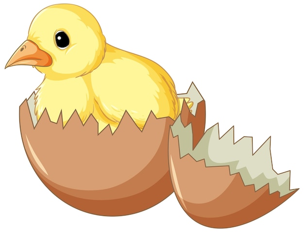 Free vector a chick in hatching egg