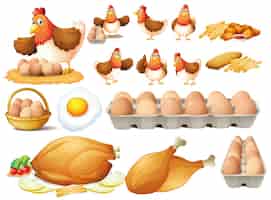 無料ベクター 鶏肉製品の鶏と異なるタイプ