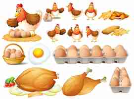 Free vector chicken and different types of chicken products