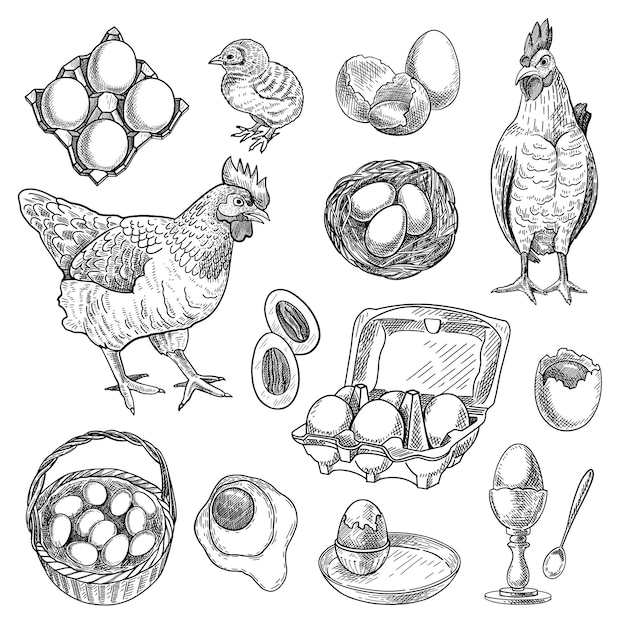 Набор эскизов продуктов куриной фермы