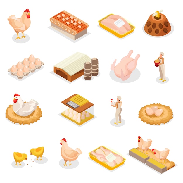 Free vector chicken farm set with sixteen isolated isometric icons of poultry products images of animals and workers vector illustration