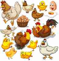 Free vector chicken and fresh eggs illustration