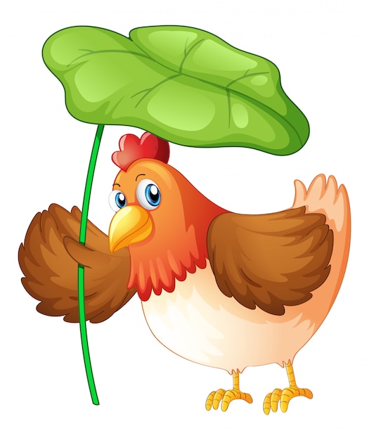 Chicken holding green leaf on white background