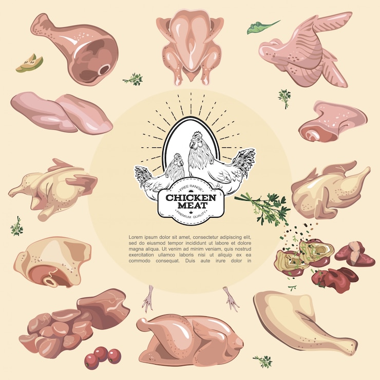 Free Vector chicken meat colorful composition with monochrome food emblem in center of composition and different raw chicken parts around it