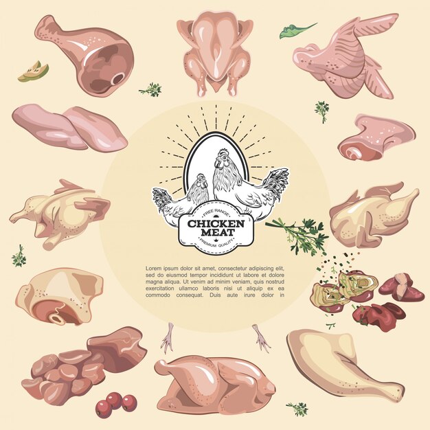 Красочная композиция из куриного мяса с монохромной пищевой эмблемой в центре композиции и различными сырыми куриными частями вокруг нее