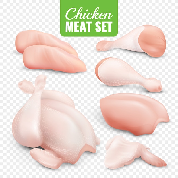 Free vector chicken meat transparent icon set