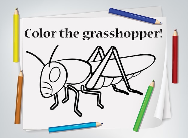 Children grasshopper coloring worksheet
