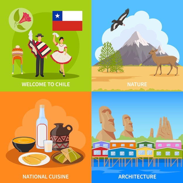 Free vector chile design concept