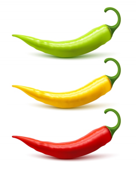  Chili Pepper Pods Set Realistic Shadow 