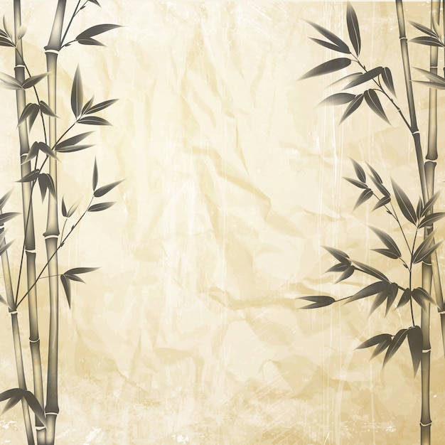 Chinese bamboo on the old paper background