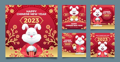 Chinese new year celebration instagram posts collection