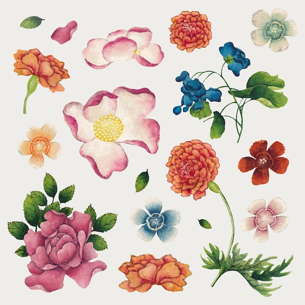 Chinese spring flower set, remix from artworks by zhang ruoai