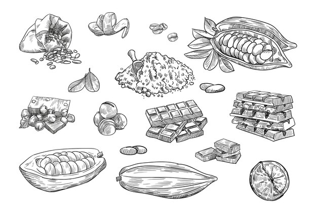 ココア豆の木のテンプレート チョコレートのカカオ豆の背景 チョークボードに描かれたイラストを手します ビンテージスタイルのイラスト プレミアムベクター ココア豆の木のテンプレート チョコレートのカカオ豆の背景 チョークボードに描かれたイラストを手します ビンテージスタイルのイラスト プレミアムベクター