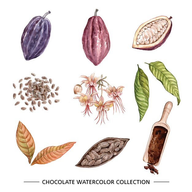 Chocolate watercolor illustration on white background for decorative use.
