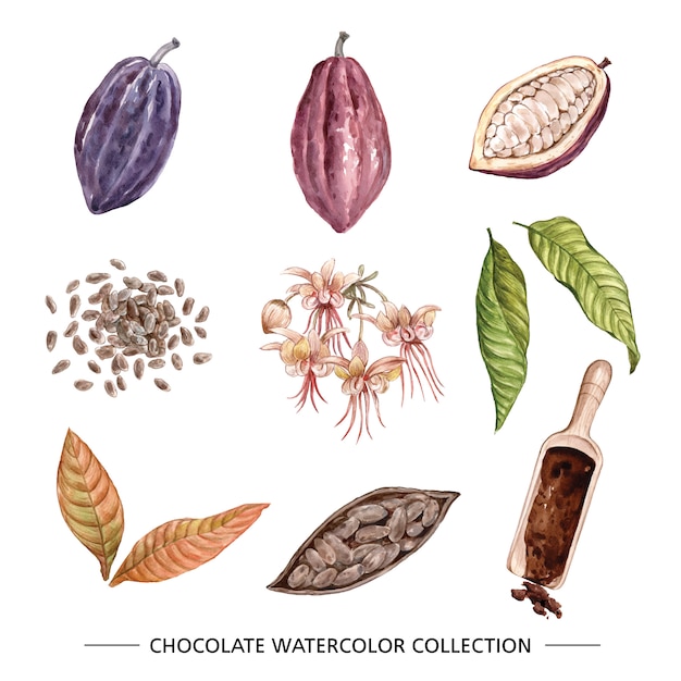 Chocolate watercolor illustration on white background for decorative use.