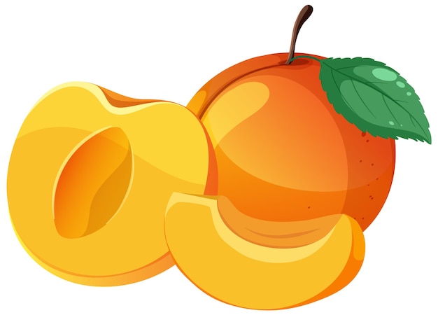 Бесплатное векторное изображение Вектор нарезанного персика