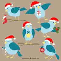 Free vector christmas birds cartoons