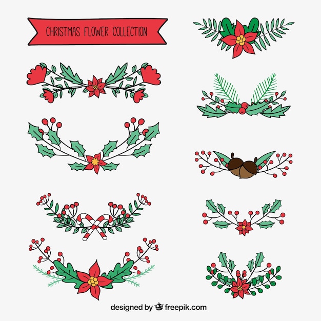 Christmas collection of hand-drawn floral elements