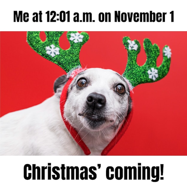 Funny christmas dog Vectors & Illustrations for Free Download | Freepik