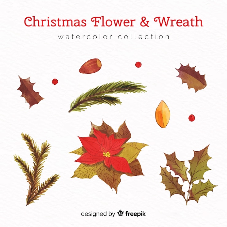 Free Vector christmas flower and wreath watercolor collection