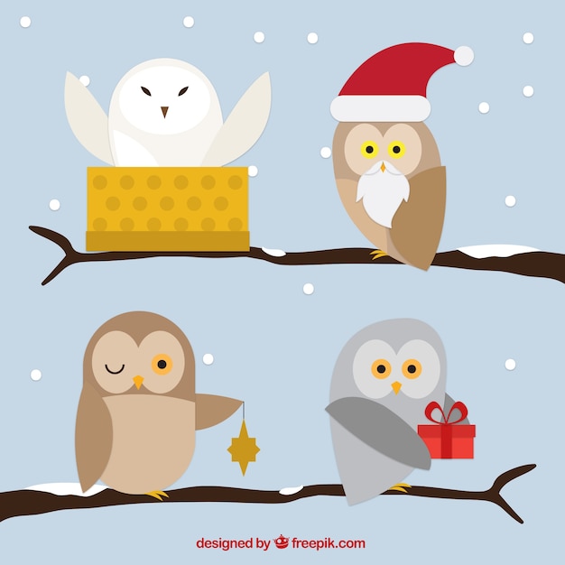 Free vector christmas owls