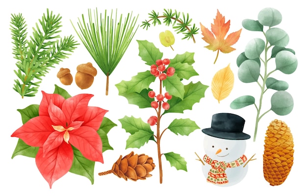 Free vector christmas plants decoration elements illustrations watercolor styles