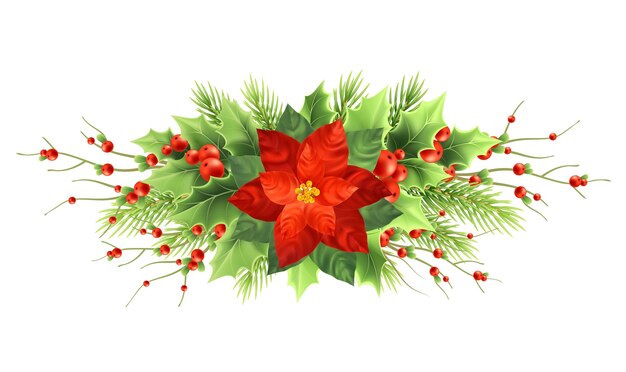 クリスマスポインセチアの花の現実的なベクトルイラスト。ホリー、赤いベリー、ポインセチア、モミの枝のクリスマスデコレーション。クリスマスの観賞植物。分離されたバナー、ポスターカラーデザイン要素