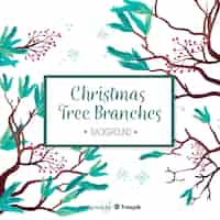 Free vector christmas tree branches background