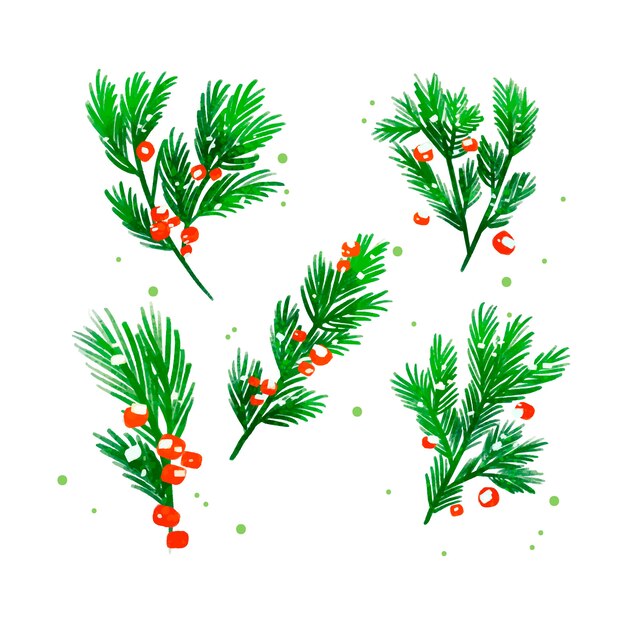 Christmas tree branches watercolor background