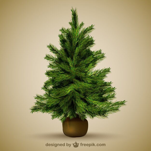 Christmas tree illustration