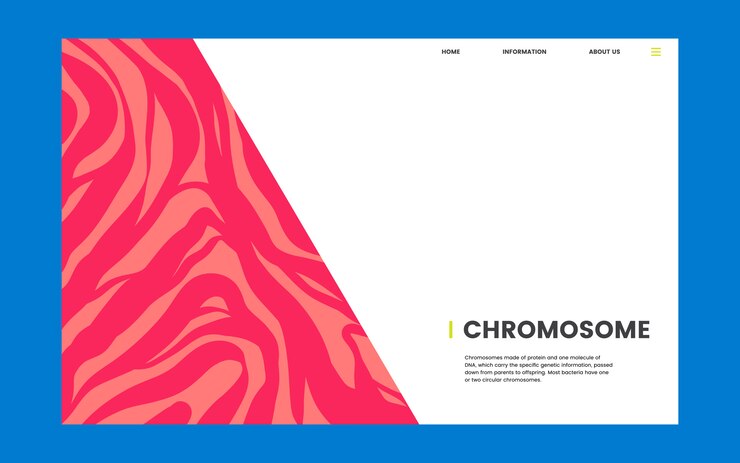 Free Vector chromosome educational science website design