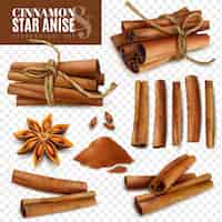 Free vector cinnamon star anise transparent set