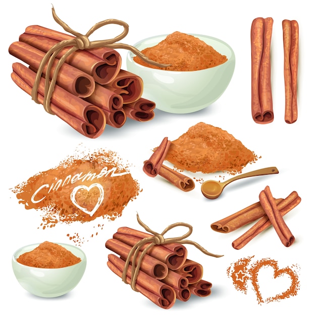 Cinnamon sticks and powder vector collection