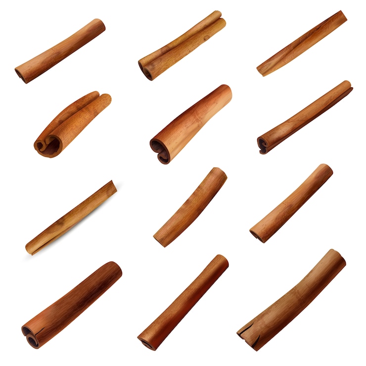 Free Vector cinnamon sticks set