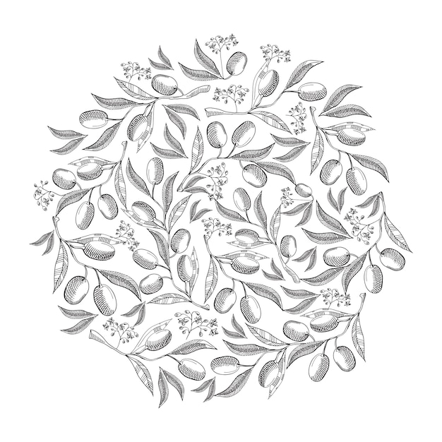 Doodle del fiore dell'olivo del reticolo del cerchio con ripetizione delle belle bacche sull'illustrazione bianca del disegno della mano